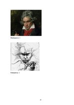 Referāts 'Ludvigs van Bēthovens', 19.