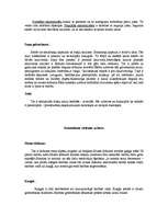 Referāts 'Suņi', 23.