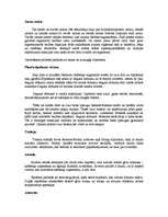 Referāts 'Suņi', 24.