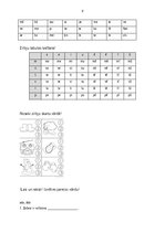 Konspekts 'Strukturālais plāns valodas sistēmas nepietiekamas attīstības korekcijai', 9.