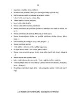 Konspekts 'Strukturālais plāns valodas sistēmas nepietiekamas attīstības korekcijai', 14.