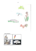 Konspekts 'Strukturālais plāns valodas sistēmas nepietiekamas attīstības korekcijai', 22.