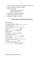 Konspekts 'Strukturālais plāns valodas sistēmas nepietiekamas attīstības korekcijai', 30.