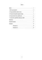 Referāts 'Turcijas piedāvājums Latvijas tūrisma tirgū', 2.