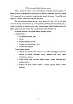 Referāts 'Turcijas piedāvājums Latvijas tūrisma tirgū', 5.