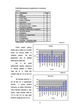 Referāts 'Turcijas piedāvājums Latvijas tūrisma tirgū', 13.