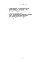 Referāts 'Turcijas piedāvājums Latvijas tūrisma tirgū', 17.