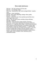 Referāts 'Mitoloģiskie tēli. Dievs', 10.