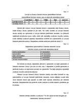 Diplomdarbs 'Interneta resursu zīmola veidošana Latvijā', 52.