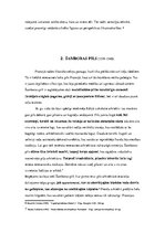 Referāts 'Renesanses laika arhitektūra Francijā', 5.