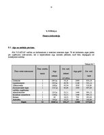 Biznesa plāns 'ZS "Blā..."', 19.