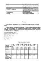 Biznesa plāns 'Sporta bārs „Deportivo”', 8.