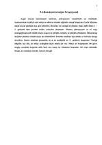 Referāts 'Senās Romas armija', 8.