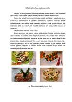 Prakses atskaite 'Ēdināšanas un viesnīcu uzņēmējdarbība', 9.