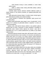 Prakses atskaite 'Grāmatvedības paņēmienu pielietojums', 5.