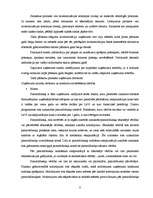 Prakses atskaite 'Grāmatvedības paņēmienu pielietojums', 8.