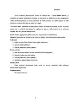 Referāts 'Texas Holdem Pokers', 3.