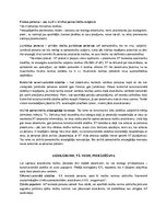 Konspekts 'Konstitucionālās sūdzības teorija', 3.