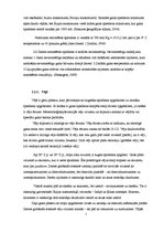 Prakses atskaite 'Klimataloģija un meteoroloģija', 7.