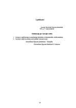 Referāts 'Latvijas Republikas Satversmes izstrādāšanas un pieņemšanas gaita', 26.