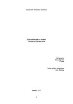 Referāts 'Krāsu ietekme uz cilvēku', 1.