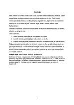 Referāts 'Krāsu ietekme uz cilvēku', 3.