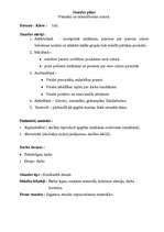 Referāts 'Stundas plāns. Vitamīni un minerālvielas uzturā', 1.