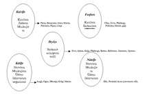 Referāts 'Stundas plāns. Vitamīni un minerālvielas uzturā', 6.