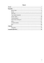 Referāts 'Džordžs Gordons Noels Bairons', 2.