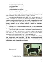 Referāts 'Džordžs Gordons Noels Bairons', 11.