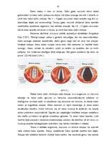 Diplomdarbs 'Skolēnu balss saliedēšana dziedāšanas procesā un unisona attīstīšana sākumskolā', 19.