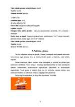 Referāts 'Vēlēšanu mehānisma politiskā analīze Latgales apgabalā', 8.