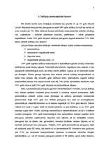 Referāts 'Inflācijas risks', 8.