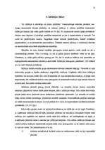 Referāts 'Inflācijas risks', 10.