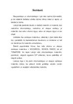 Referāts 'Siltumizolācijas un skaņizolācijas materiāli', 28.