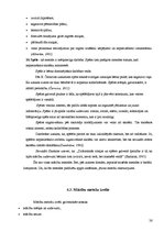 Diplomdarbs 'Tēmas "Augi pavasarī" integrētā apguve 2.klasē', 26.