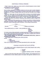 Konspekts 'Valsts teorija', 1.