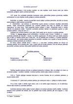 Konspekts 'Valsts teorija', 11.