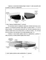 Referāts 'Uzņēmējdarbību veicinošie un bremzējošie apstākļi Katvaru pagastā', 38.