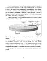 Referāts 'Uzņēmējdarbību veicinošie un bremzējošie apstākļi Katvaru pagastā', 41.