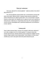 Prakses atskaite 'Grāmatvedības prakses atskaite', 2.