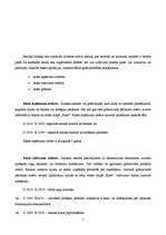 Prakses atskaite 'Grāmatvedības prakses atskaite', 6.