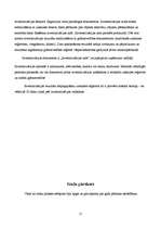 Prakses atskaite 'Grāmatvedības prakses atskaite', 26.