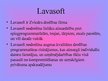 Prezentācija 'Lavasoft', 3.