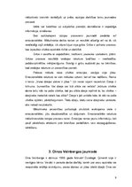 Prezentācija 'Daiļrades process literatūrzinātnē un dzīvē', 9.