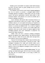 Prezentācija 'Daiļrades process literatūrzinātnē un dzīvē', 13.