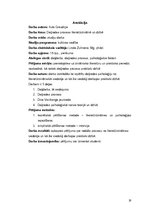 Prezentācija 'Daiļrades process literatūrzinātnē un dzīvē', 19.