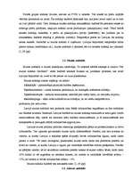 Referāts 'Latvijas nodokļu politika', 3.