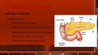 Prezentācija 'Cilvēka endokrīnā sistēma', 22.