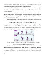 Diplomdarbs 'Dažādības vadības ieviešanas iespējas cilvēku ar invaliditāti nodarbināšanā bied', 17.